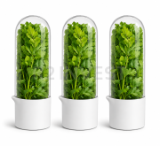 3in1 vegetable storage container