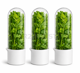 3in1 vegetable storage container